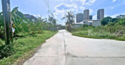 ที่ดินบางนา ซอยบางนา-ตราด 64 เนื้อที่ 102 ตร.ว. ผังสีส้ม