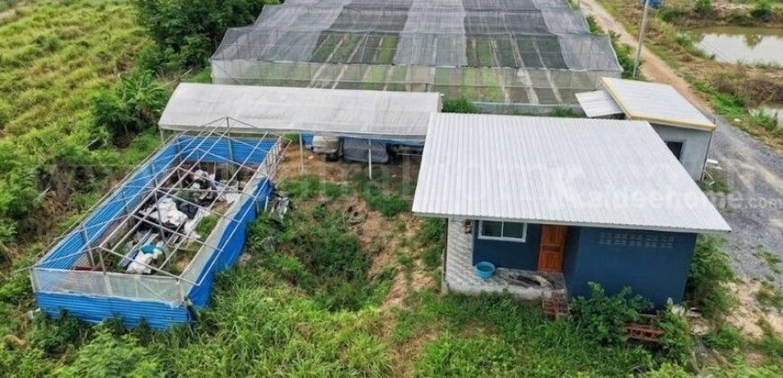 ที่ดินพร้อมสิ่งปลูกสร้าง 4-0-69.6 ไร่ ไทรน้อย