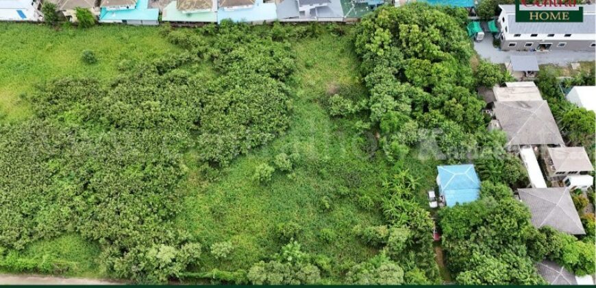 ที่ดินเปล่า 700 ตร.วา บางใหญ่ – นนทบุรี ถมแล้ว