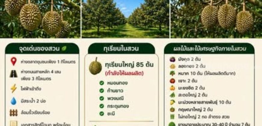 ขายสวนทุเรียน 5 ไร่ (โฉนด) พร้อมเก็บเกี่ยวผลผลิต บ้านค่าย ระยอง