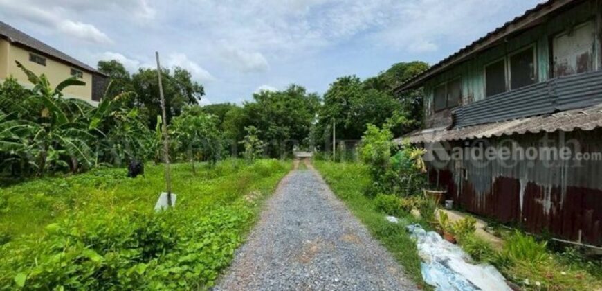 ที่ดิน 125 ตรว. ซอยทวีวัฒนา 43 ถนนบรมราชชนนี ทำเลดี ราคาถูกมาก