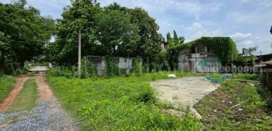 ที่ดิน 125 ตรว. ซอยทวีวัฒนา 43 ถนนบรมราชชนนี ทำเลดี ราคาถูกมาก