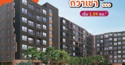 dcondo sense Bangsaen คอนโด ใกล้ ม.บูรพา พร้อมอยู่แต่งครบ Fully Furnished โทร 093-1681685