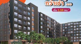 dcondo sense Bangsaen คอนโด ใกล้ ม.บูรพา พร้อมอยู่แต่งครบ Fully Furnished โทร 093-1681685
