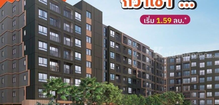 dcondo sense Bangsaen คอนโด ใกล้ ม.บูรพา พร้อมอยู่แต่งครบ Fully Furnished โทร 093-1681685
