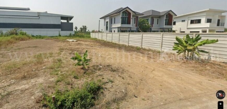 ที่ดิน 103 ตร.วา ถนนบางบัวทอง-ไทรน้อย ใกล้โรงพยาบาลพิมลราช ทำเลดี ราคาถูก