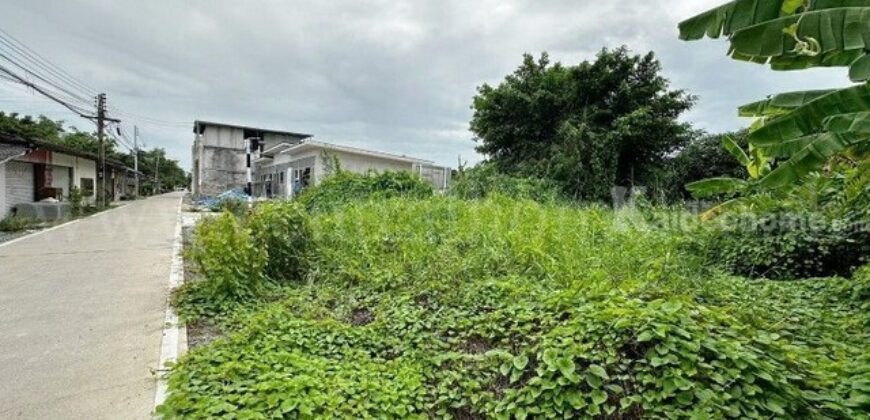 ที่ดินเปล่า ใกล้วัดท่าไม้ ติดถนนคอนกรีต แปลงมุม 