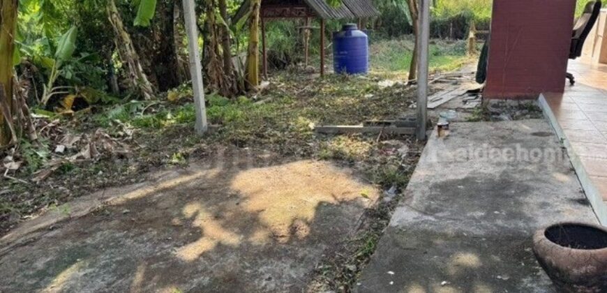 บ้านเดี่ยว ชั้นเดียว 200 ตร.ว บ้านกล้วย ไทรน้อย ราคาถูก