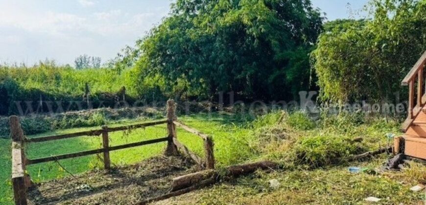 บ้านเดี่ยว ชั้นเดียว 200 ตร.ว บ้านกล้วย ไทรน้อย ราคาถูก