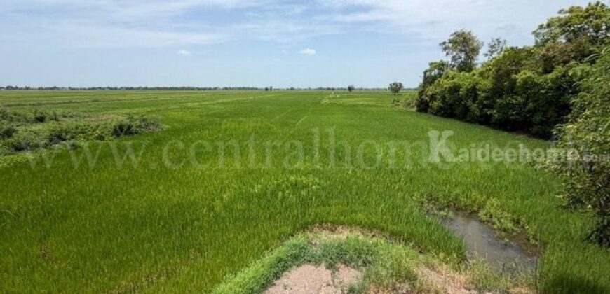 ที่ดิน 4-2-63 ไร่ ต.บางซ้าย พระนครศรีอยุธยา