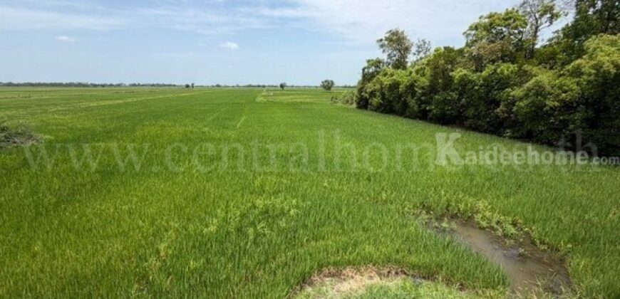 ที่ดิน 4-2-63 ไร่ ต.บางซ้าย พระนครศรีอยุธยา