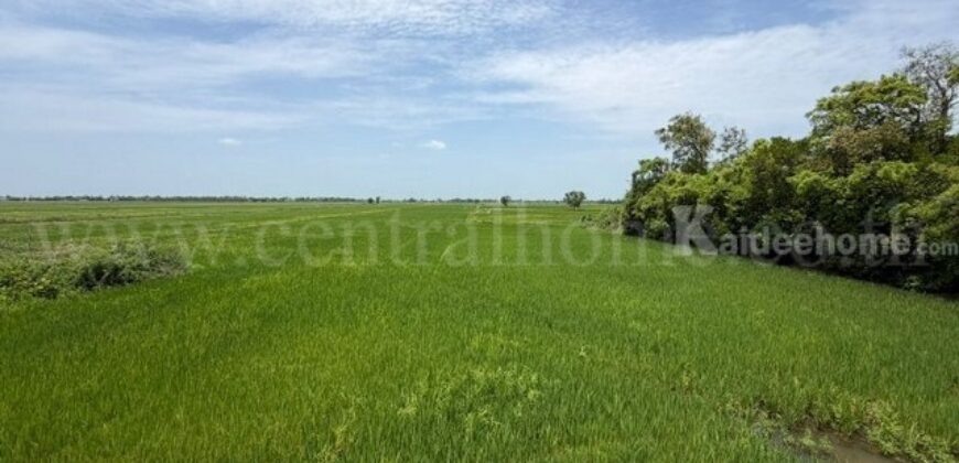 ที่ดิน 4-2-63 ไร่ ต.บางซ้าย พระนครศรีอยุธยา