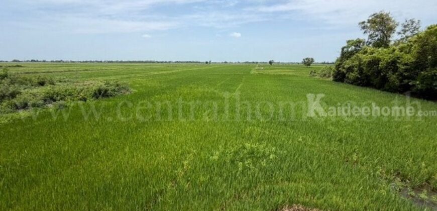 ที่ดิน 4-2-63 ไร่ ต.บางซ้าย พระนครศรีอยุธยา