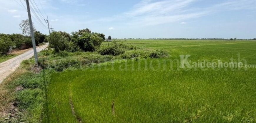ที่ดิน 4-2-63 ไร่ ต.บางซ้าย พระนครศรีอยุธยา