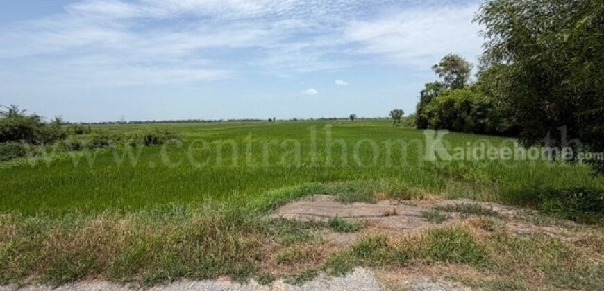 ที่ดิน 4-2-63 ไร่ ต.บางซ้าย พระนครศรีอยุธยา