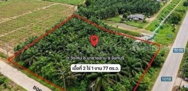 ที่ดินเปล่า ซอย 3 หินดาด นายายอาม จันทบุรี ใกล้ถนนสุขุมวิท ทำเลดี ราคาถูก