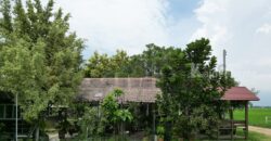 ขาย ที่ดินจัดสรร ลำลูกกา คลอง16 องครักษ์