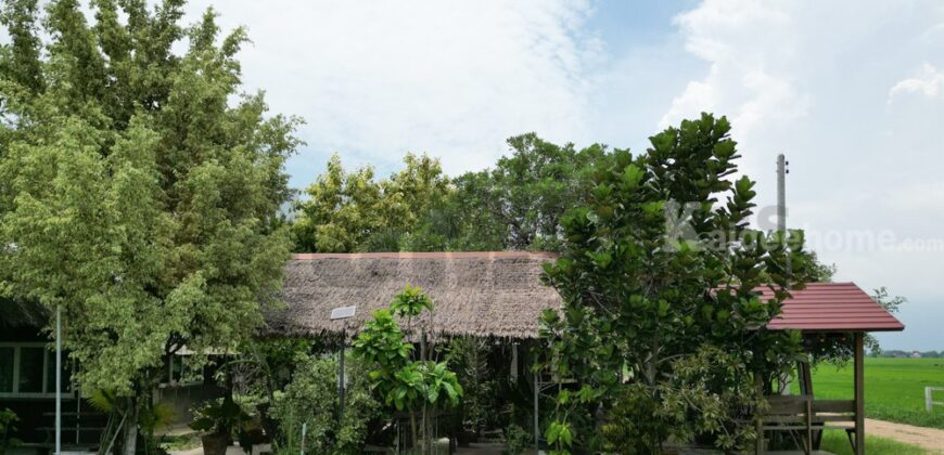 ขาย ที่ดินจัดสรร ลำลูกกา คลอง16 องครักษ์