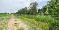 ขาย ที่ดินจัดสรร ลำลูกกา คลอง16 องครักษ์