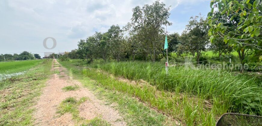 ขาย ที่ดินจัดสรร ลำลูกกา คลอง16 องครักษ์