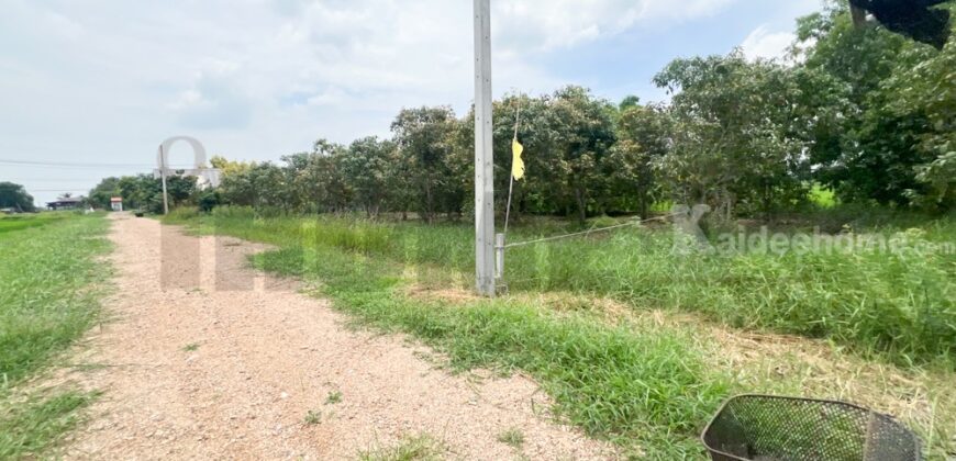 ขาย ที่ดินจัดสรร ลำลูกกา คลอง16 องครักษ์