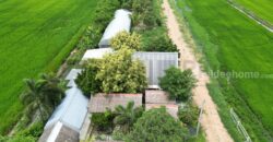 ขาย ที่ดินจัดสรร ลำลูกกา คลอง16 องครักษ์