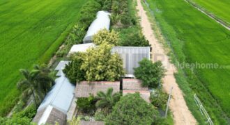 ขาย ที่ดินจัดสรร ลำลูกกา คลอง16 องครักษ์