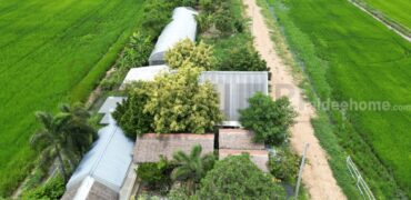 ขาย ที่ดินจัดสรร ลำลูกกา คลอง16 องครักษ์