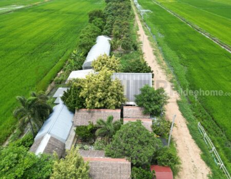 ขาย ที่ดินจัดสรร ลำลูกกา คลอง16 องครักษ์