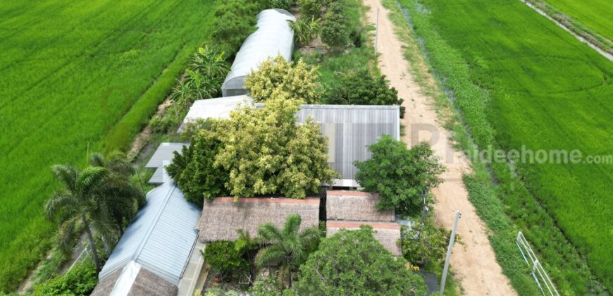 ขาย ที่ดินจัดสรร ลำลูกกา คลอง16 องครักษ์