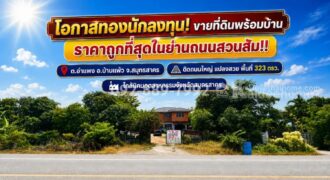 ขายที่ดินแถมสิ่งปลูกสร้าง ถนนสวนส้ม อำแพง สมุทรสาคร พื้นที่ 323 ตารางวา แปลงสวย ราคาถูกที่สุดในย่านสวนส้ม! ขายเพียง 7.3 ล้านบาท เท่านั้น! คุ้มค่า น่าลงทุนที่สุดในย่านนี้