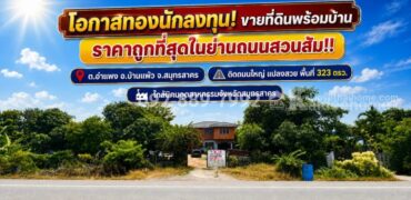 ขายที่ดินแถมสิ่งปลูกสร้าง ถนนสวนส้ม อำแพง สมุทรสาคร พื้นที่ 323 ตารางวา แปลงสวย ราคาถูกที่สุดในย่านสวนส้ม! ขายเพียง 7.3 ล้านบาท เท่านั้น! คุ้มค่า น่าลงทุนที่สุดในย่านนี้