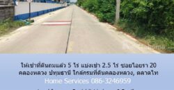 ให้เช่าที่ดินถมแล้ว 5 ไร่ แบ่งเช่า 2.5 ไร่ ซอยไอยรา 20 คลองหลวง ปทุมธานี ใกล้กรมที่ดินคลองหลวง, ตลาดไท