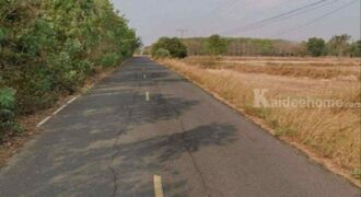 ขายที่ดิน 13 ไร่ อ.จอมพระ จ.สุรินทร์