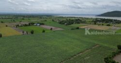 ขาย ที่ดิน บ้าน มะนาว หวาน เขื่อน ป่า สัก ลพบุรี
