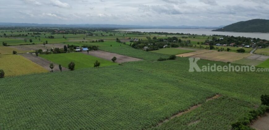 ขาย ที่ดิน บ้าน มะนาว หวาน เขื่อน ป่า สัก ลพบุรี