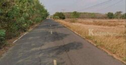 ขายที่ดิน 13 ไร่ อ.จอมพระ จ.สุรินทร์
