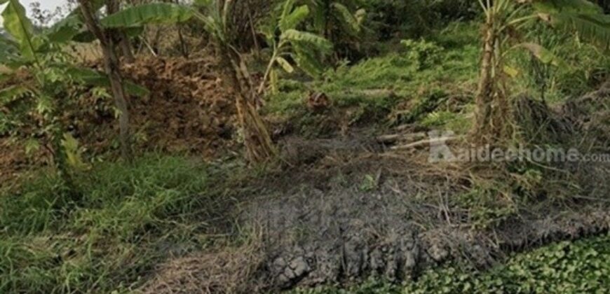 ขายที่ดิน 1 ไร่ ลำลูกกา คลอง 6 จ.ปทุมธานี