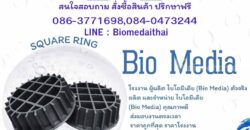0863771698 ราคา Bio Media | จำหน่าย Bio Media ราคาจากโรงงาน
