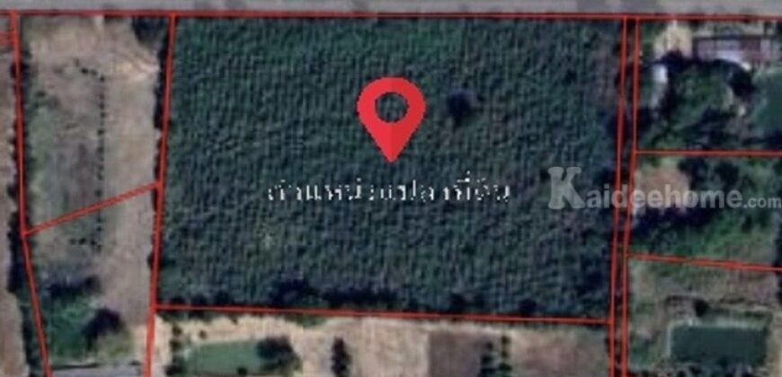 ขายที่ดิน 13 ไร่ อ.จอมพระ จ.สุรินทร์