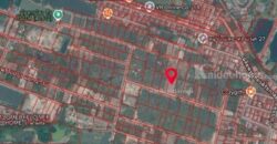 ให้เช่า ที่ดิน 282 ตรว พัฒนาการตัดใหม่ซอย 97 ถมแล้ว ทำเลดี เดินทางสะดวก
