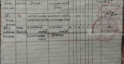 ขายที่ดิน 13 ไร่ อ.จอมพระ จ.สุรินทร์