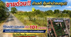 ขายที่ดิน ถนนอโยธยา พระนครศรีอยุธยา ตำบลคลองสวนพลู เข้าซอย 400 เมตร แปลงสวย พื้นที่ 101 ตารางวา ใกล้เซ็นทรัล อยุธยา