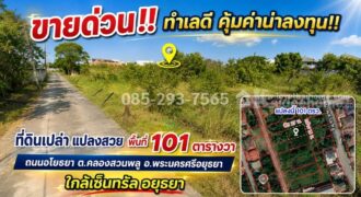 ขายที่ดิน ถนนอโยธยา พระนครศรีอยุธยา ตำบลคลองสวนพลู เข้าซอย 400 เมตร แปลงสวย พื้นที่ 101 ตารางวา ใกล้เซ็นทรัล อยุธยา