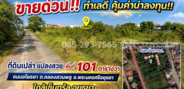 ขายที่ดิน ถนนอโยธยา พระนครศรีอยุธยา ตำบลคลองสวนพลู เข้าซอย 400 เมตร แปลงสวย พื้นที่ 101 ตารางวา ใกล้เซ็นทรัล อยุธยา