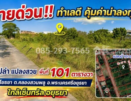 ขายที่ดิน ถนนอโยธยา พระนครศรีอยุธยา ตำบลคลองสวนพลู เข้าซอย 400 เมตร แปลงสวย พื้นที่ 101 ตารางวา ใกล้เซ็นทรัล อยุธยา