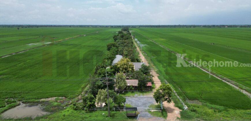 ขาย ที่ดินจัดสรร ลำลูกกา คลอง16 องครักษ์