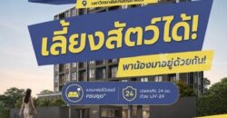 PYNN Kaset by Sansiri พินน์ เกษตร – คอนโด Pet-Friendly ใกล้ ม.เกษตร โทร 0654496399