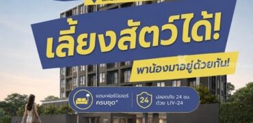 PYNN Kaset by Sansiri พินน์ เกษตร – คอนโด Pet-Friendly ใกล้ ม.เกษตร โทร 0654496399