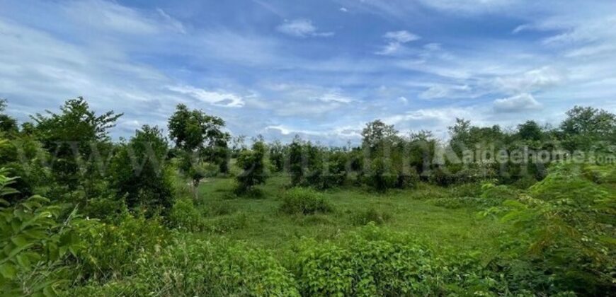 ที่ดินเปล่า ต.หินกอง อ.เมืองราชบุรี 5 ไร่ ที่ดินสวยหน้ากว้างเข้าซอยเพียง 900 เมตร